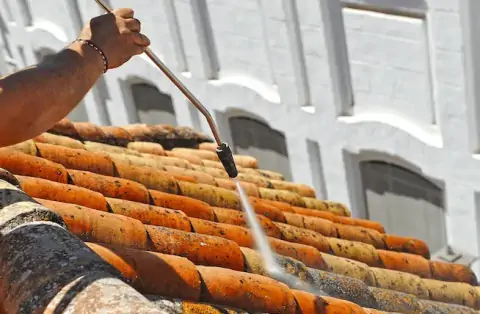 Nettoyage de toitures - Saint-Germain-des-Prés